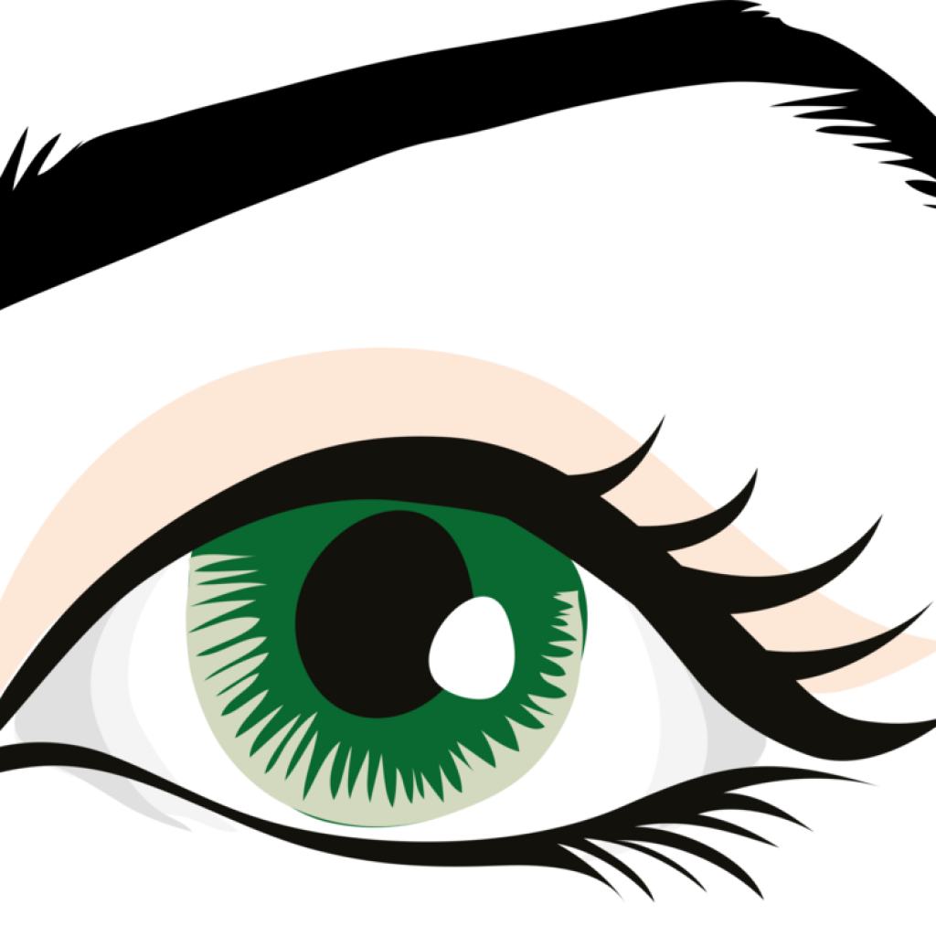 Human Eye Clip Art Human Eye Eyebrow Eyelid Organ Free Eye With