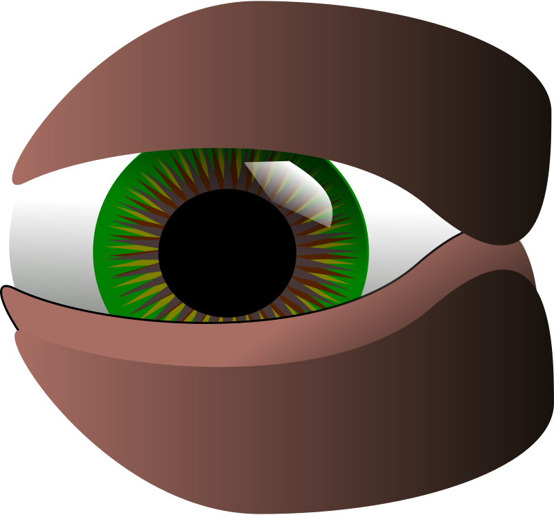 Clip Art - Png Download (800x744), Png Download