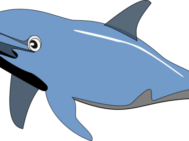Dolphin Clip Art - Png Download (640x480), Png Download