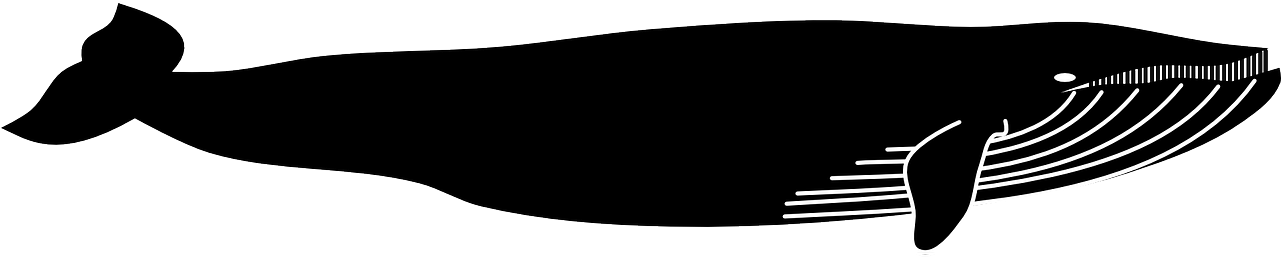 Blue Whale Clipart Sea Animal - Black Whale Shower Curtain - Png Download (960x480), Png Download