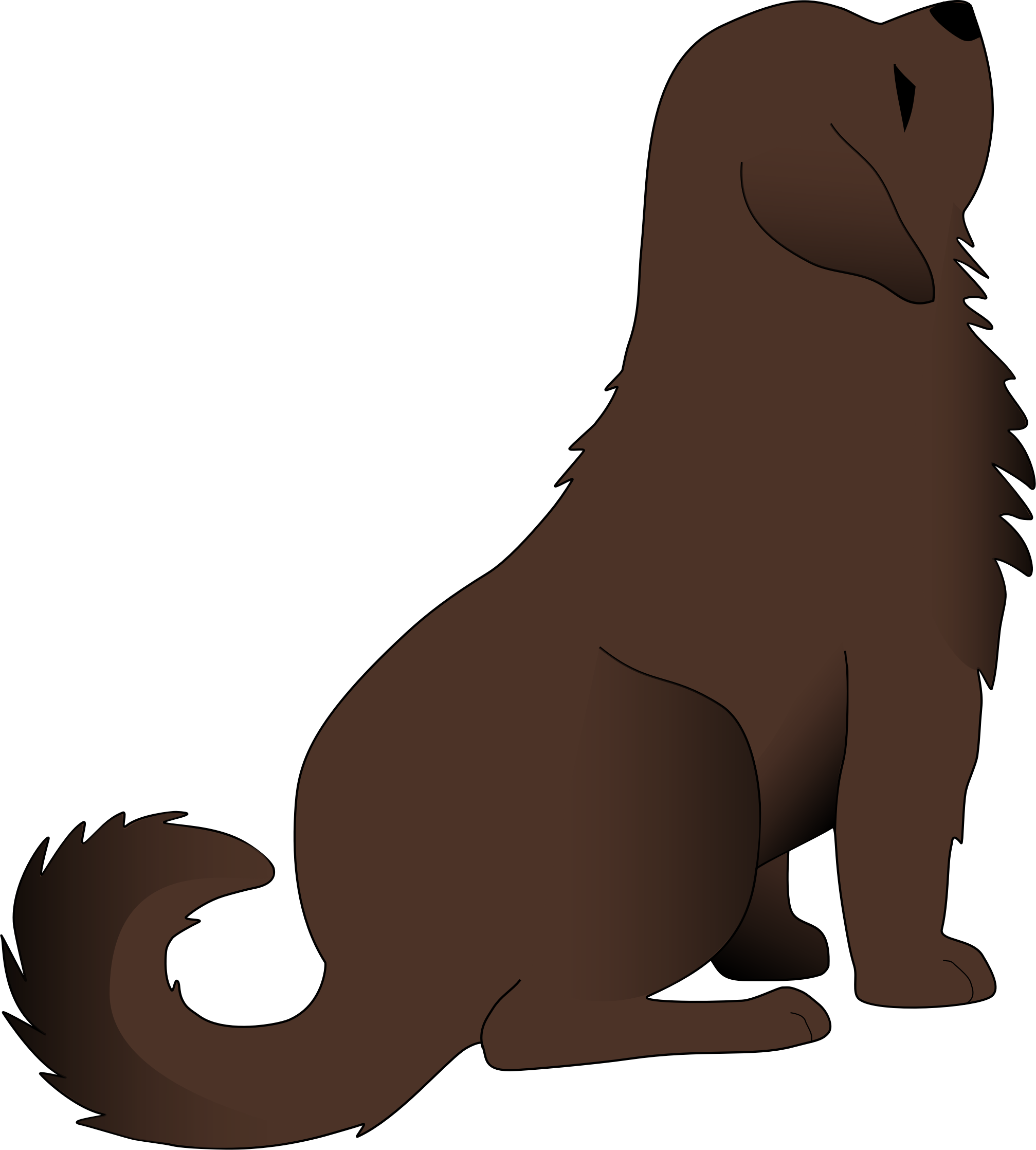 Sea Lion Clipart - Png Download (2015x2236), Png Download