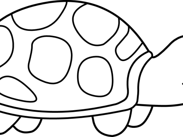 Sea Turtle Clipart Clip Art - Black And White Turtle Clip Art - Png Download (640x480), Png Download