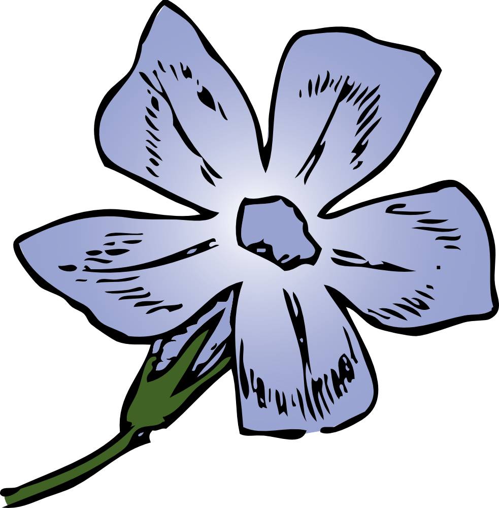 Clipart Resolution 983*1000 - Blue Periwinkle Flower Drawing - Png Download (900x916), Png Download