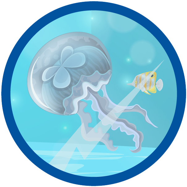 Animals - Sea History Clipart (605x605), Png Download