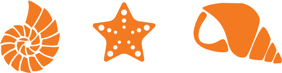 Sea Shells - >> - Sea Shell Bathroom Tile Sea Clipart (1300x520), Png Download