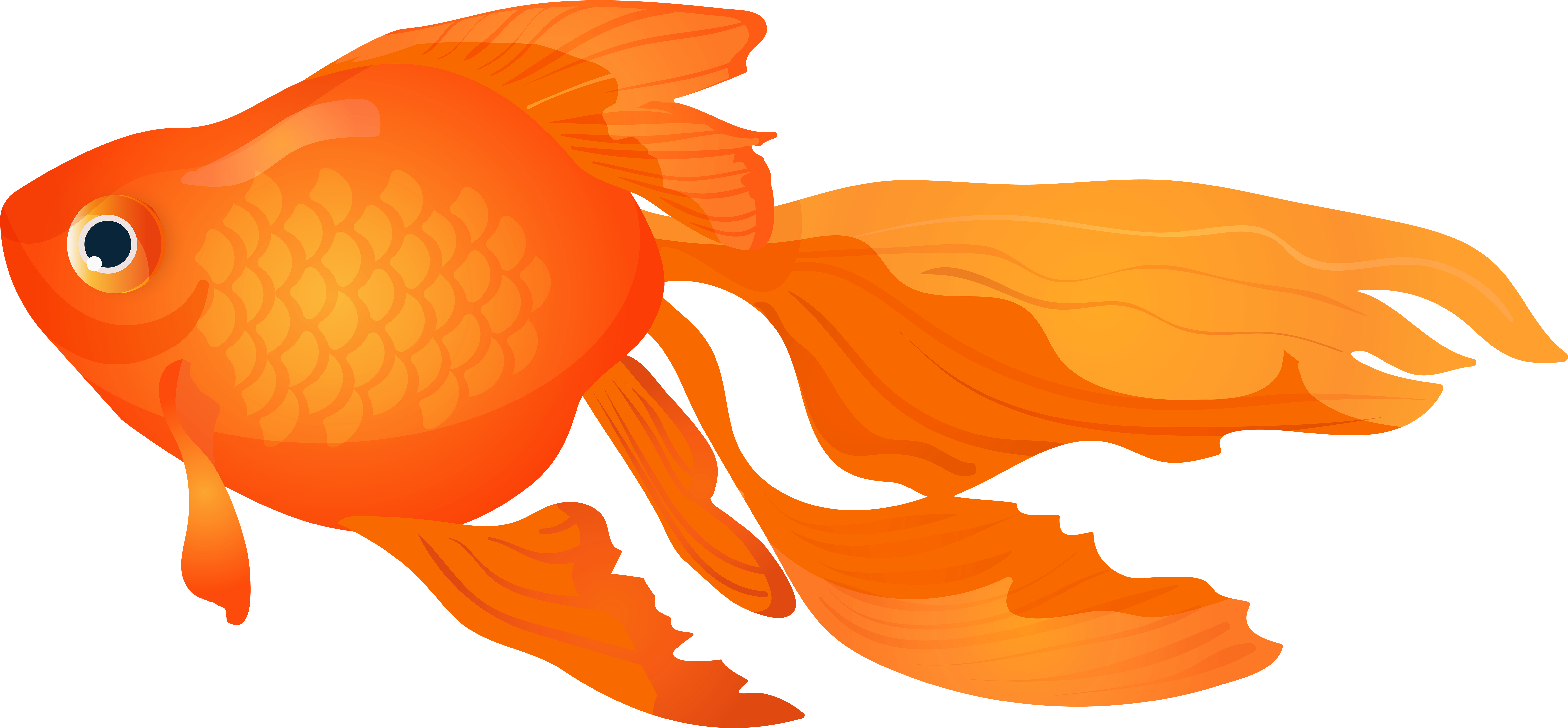 Clipart Of A Gold Fish - Png Download (8000x3750), Png Download