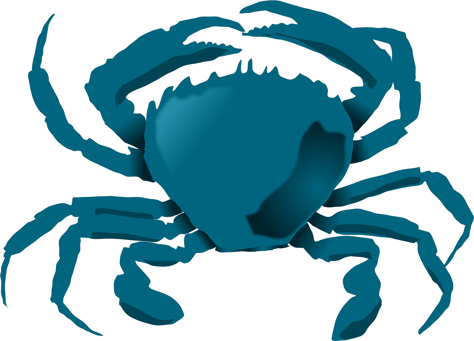 Blue Crab Clipart - Png Download (800x578), Png Download