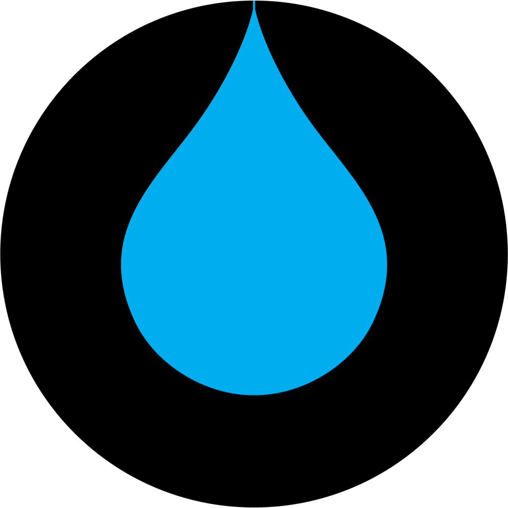 Sea Urchin Clipart - Png Download (1000x1001), Png Download