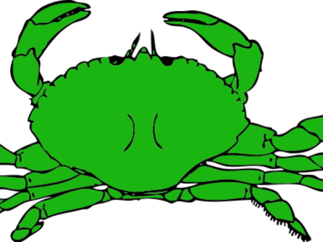 Crab Clipart Dungeness Crab - Crab Clipart - Png Download (640x480), Png Download