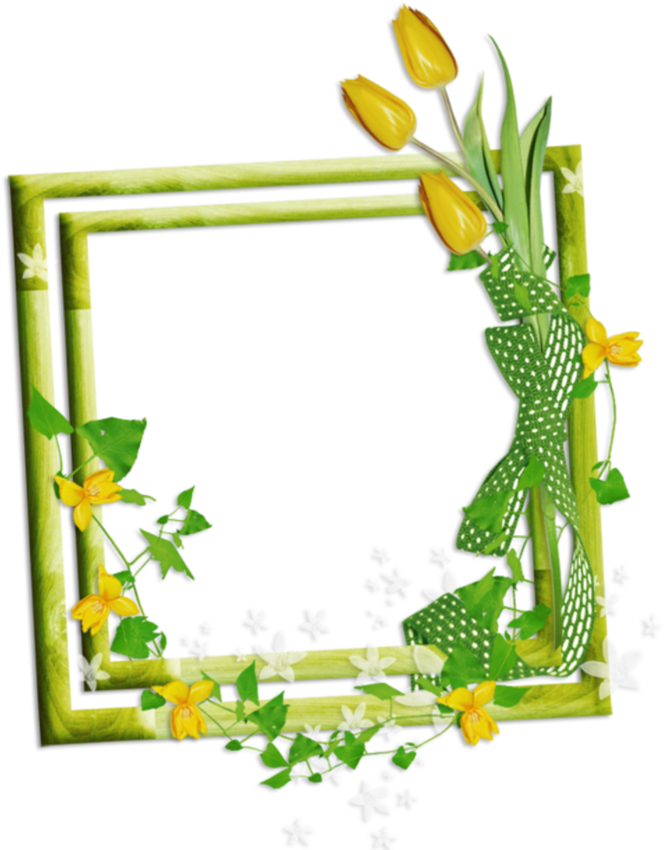 Bd20835c - Picture Frame Clipart (800x984), Png Download