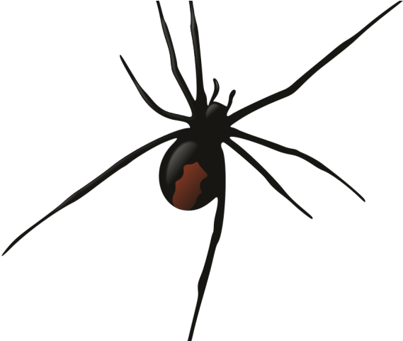 Robots Clipart Spider - Funnel Web Spider Clipart - Png Download (640x480), Png Download