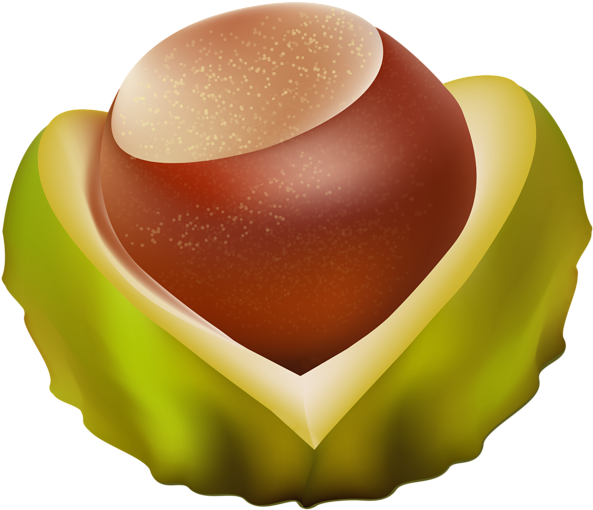 0, - Chestnut Png Clipart (600x515), Png Download