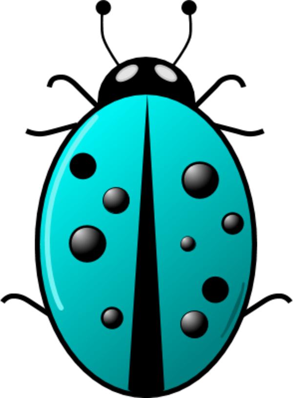 Vector Clip Art - Clipart Cartoon Ladybird - Png Download (600x816), Png Download