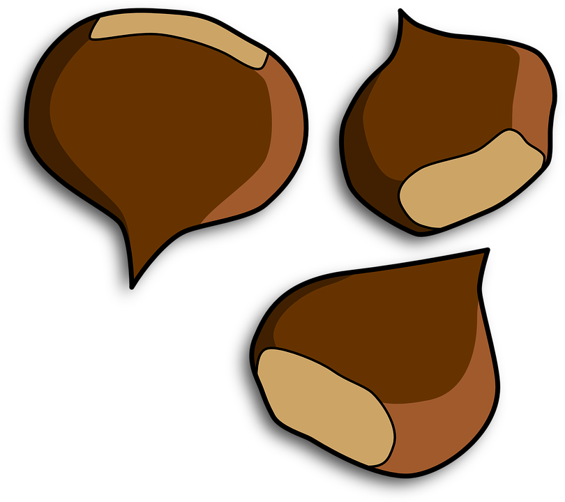 Chestnut Clipart - Png Download (640x568), Png Download