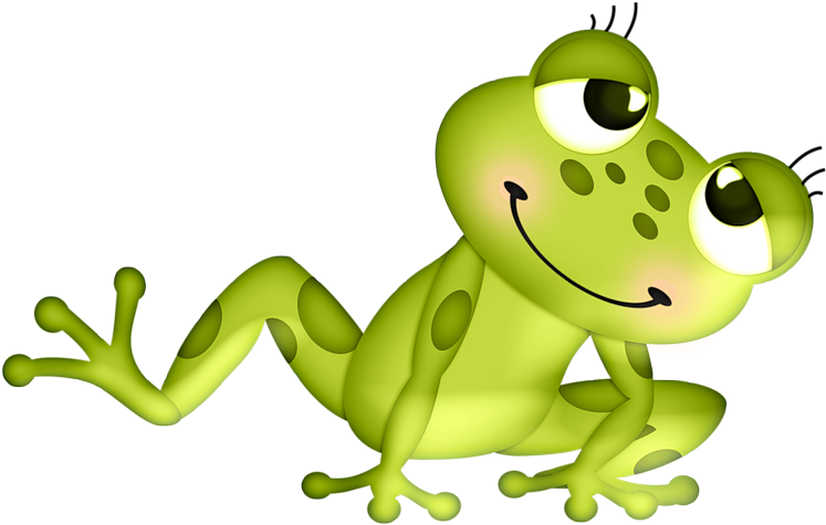 ○••°‿✿⁀ Frogs ‿✿⁀°••○ - Infantiles Ranitas Png Clipart (800x499), Png Download