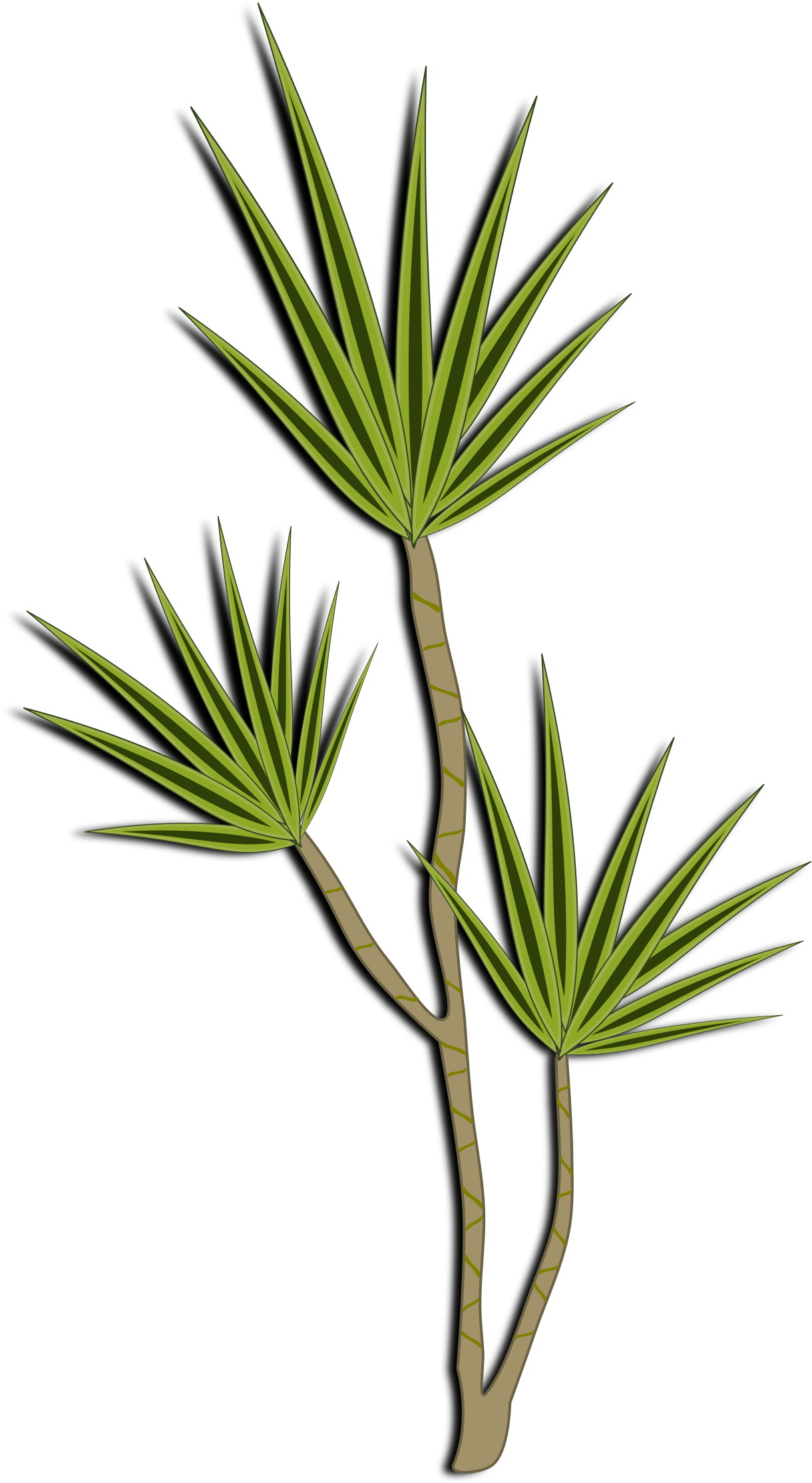Free - Palm - Desert Shrubs Clipart Png Transparent Png (800x800), Png Download