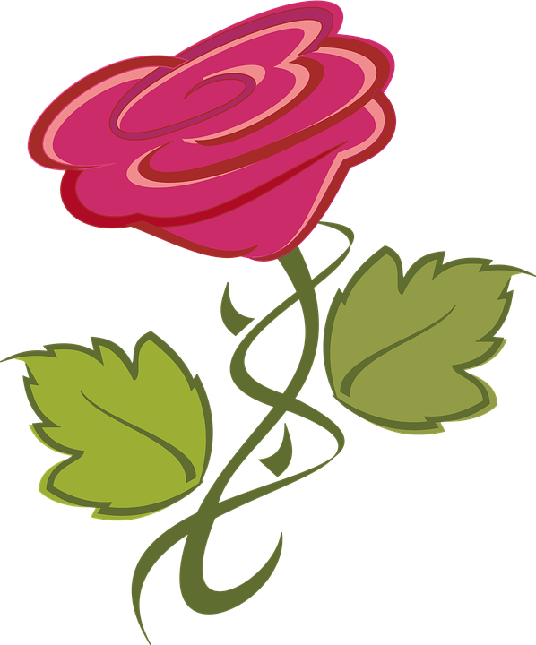 Blumen Bilder Clipart 4 By Amy - Blume Clipart - Png Download (598x720), Png Download