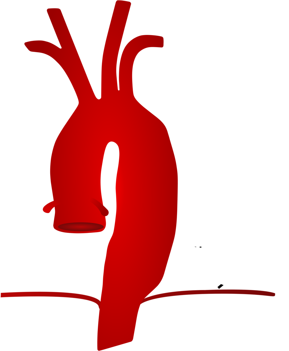 Chest Pain History - Aorta Clipart (1000x1135), Png Download