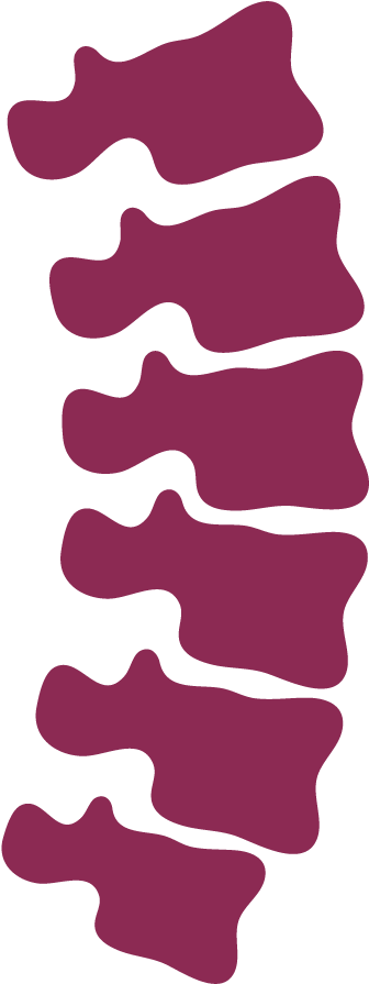 Chiropractic - Spine Icon Clipart (1000x1000), Png Download