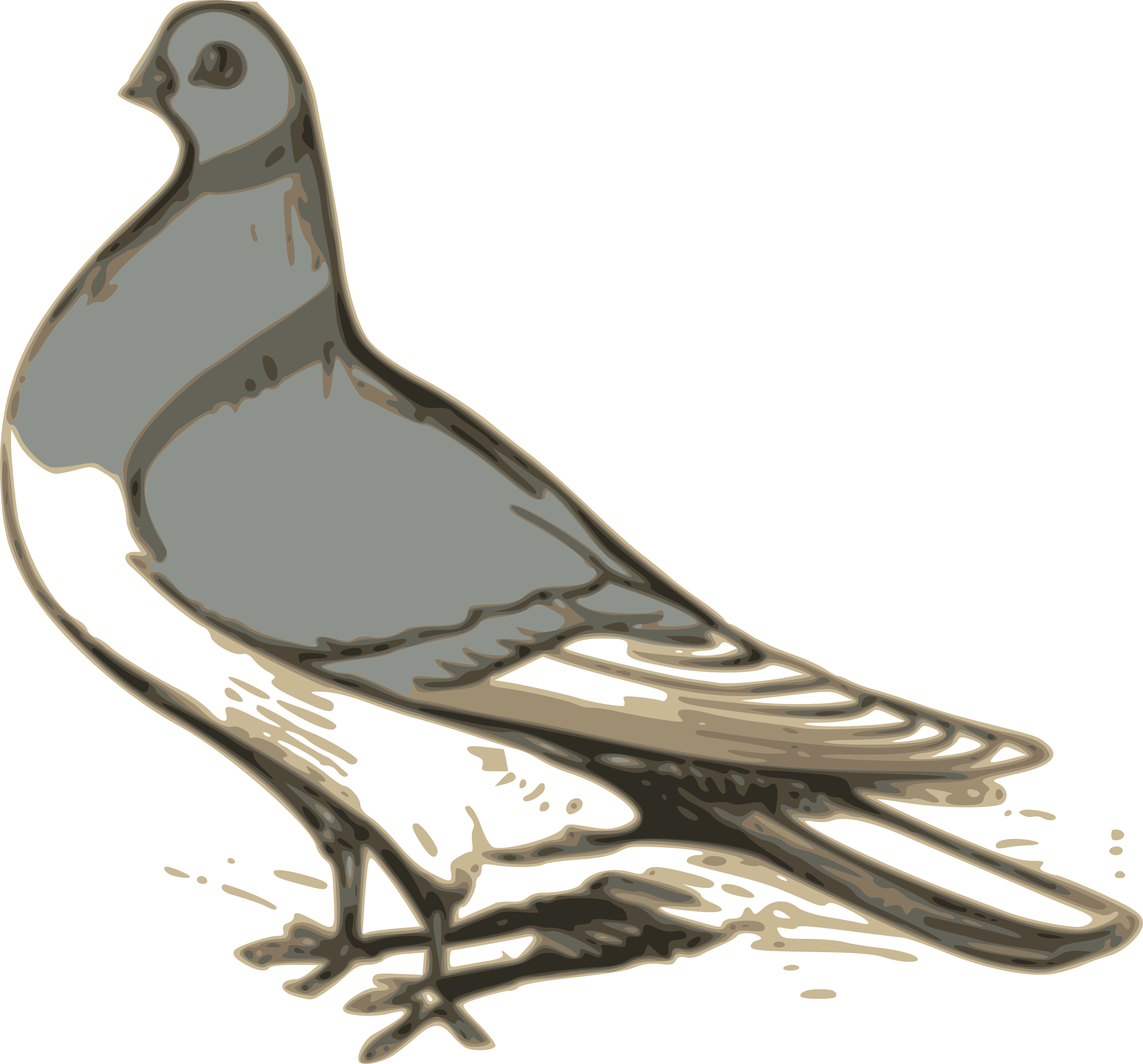 Pigeon Illustration Clipart (2400x2235), Png Download
