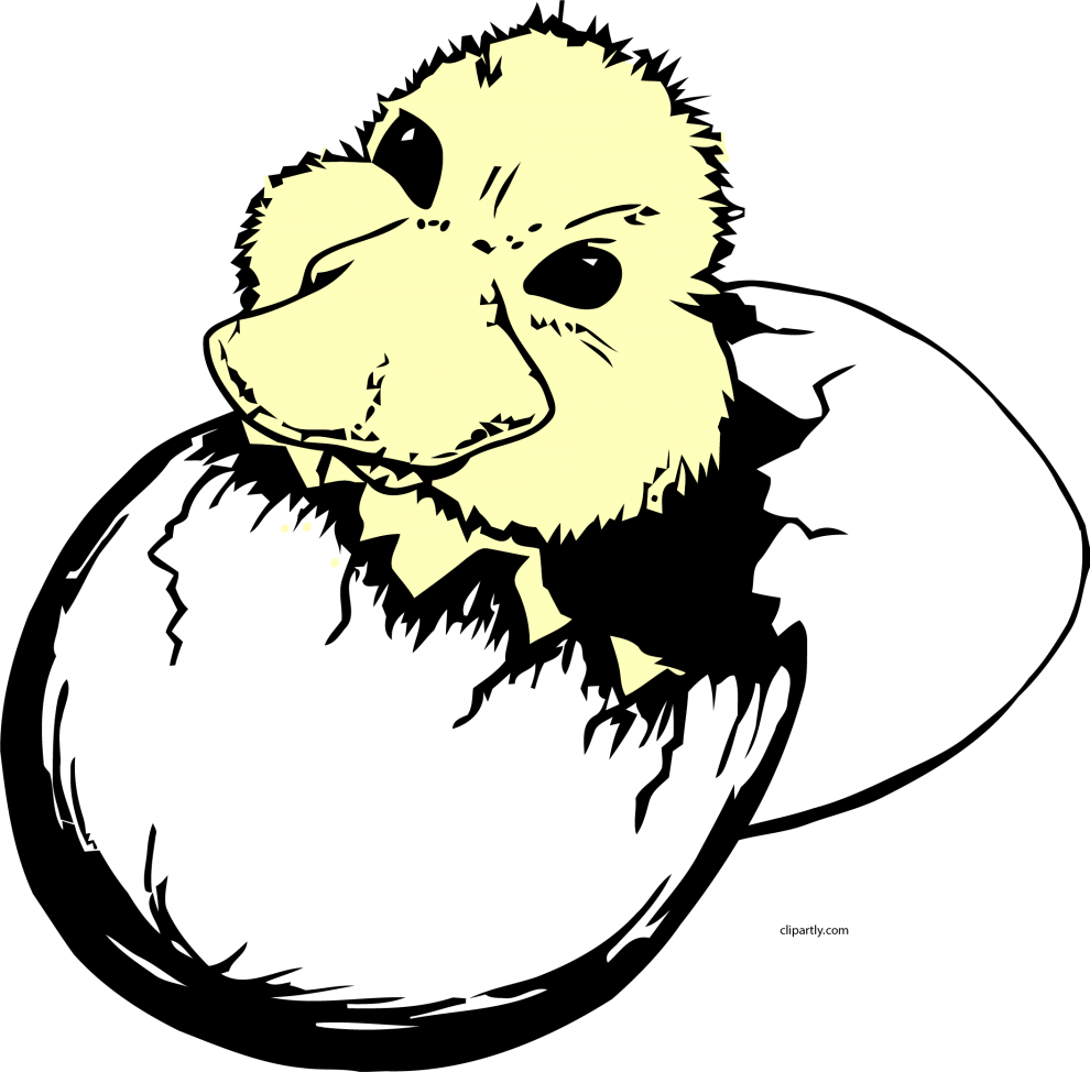 Clip Art - Baby Bird Hatching From Egg Transparent - Png Download (600x590), Png Download
