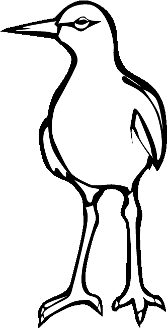 Eps Seagull 0001 Printable Coloring In Pages For Kids - Coloring Book Clipart (612x792), Png Download