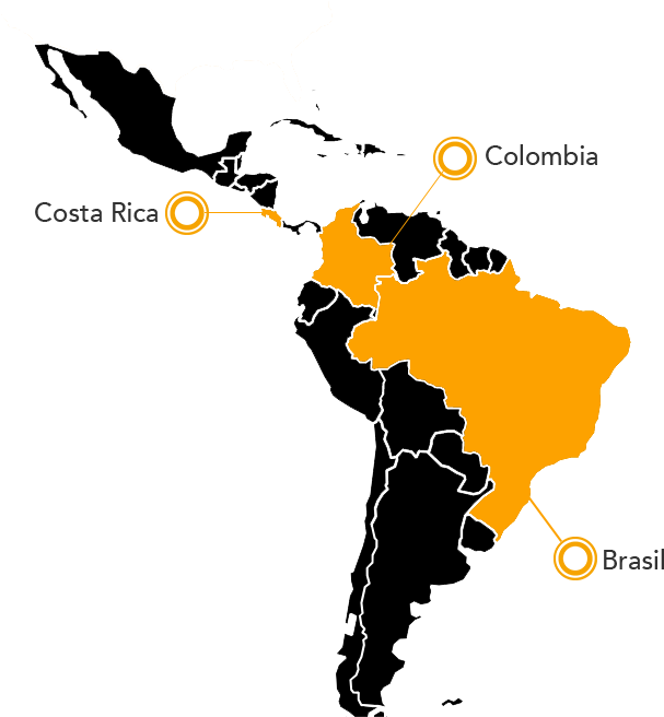 Jaguar Map - Ticks Of The Southern Cone Of America: Diagnosis, Distribution, Clipart (624x688), Png Download
