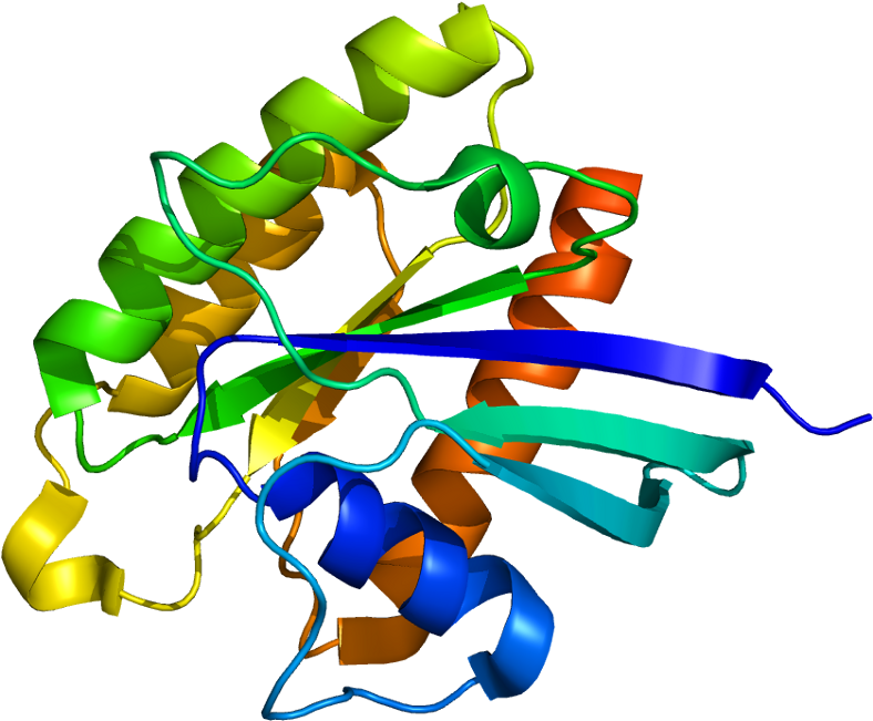 Tuberin Hamartin Complex Clipart (837x700), Png Download