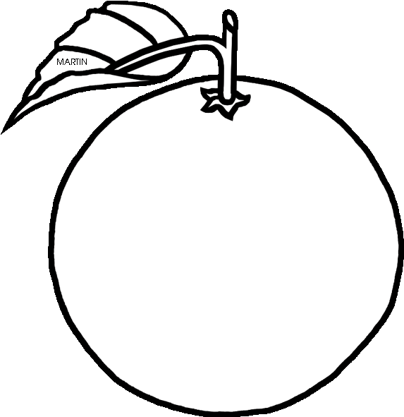 Orange Clipart Florida - White Vector Apple - Png Download (640x648), Png Download