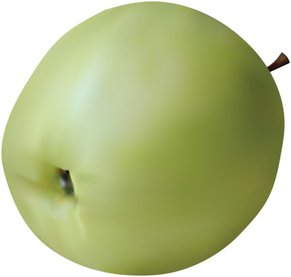 Realistic Green Apple Png Clip Art Image - Portable Network Graphics Transparent Png (600x572), Png Download