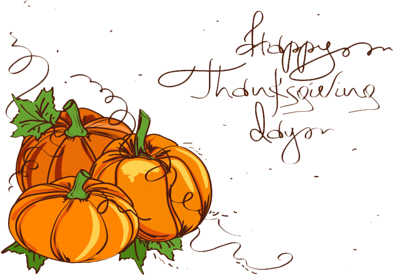 Wedding Invitation Thanksgiving Pumpkin Clip Art - Pumpkin Vines Clip Art - Png Download (800x567), Png Download