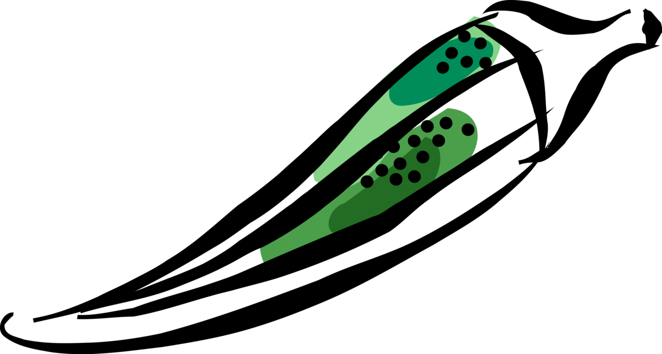 Vector Illustration Of Okra Flowering Plant With Edible - Illustration Clipart (1308x700), Png Download