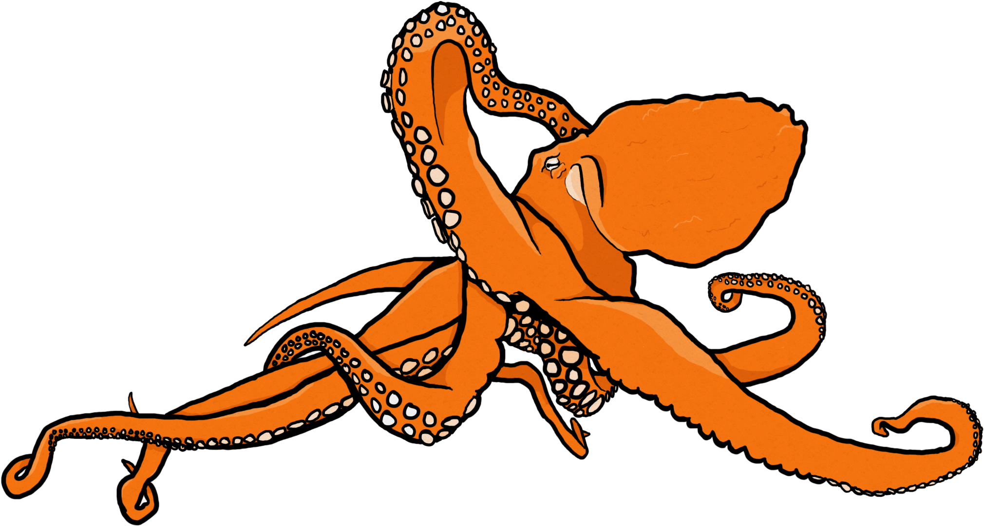 promo-dreadlock-organism-clipart-full-size-clipart-2013504