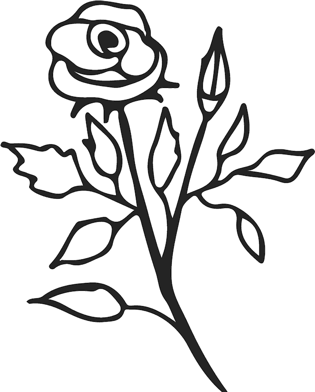 Rose Rubber Stamp Flower Clipart (800x800), Png Download