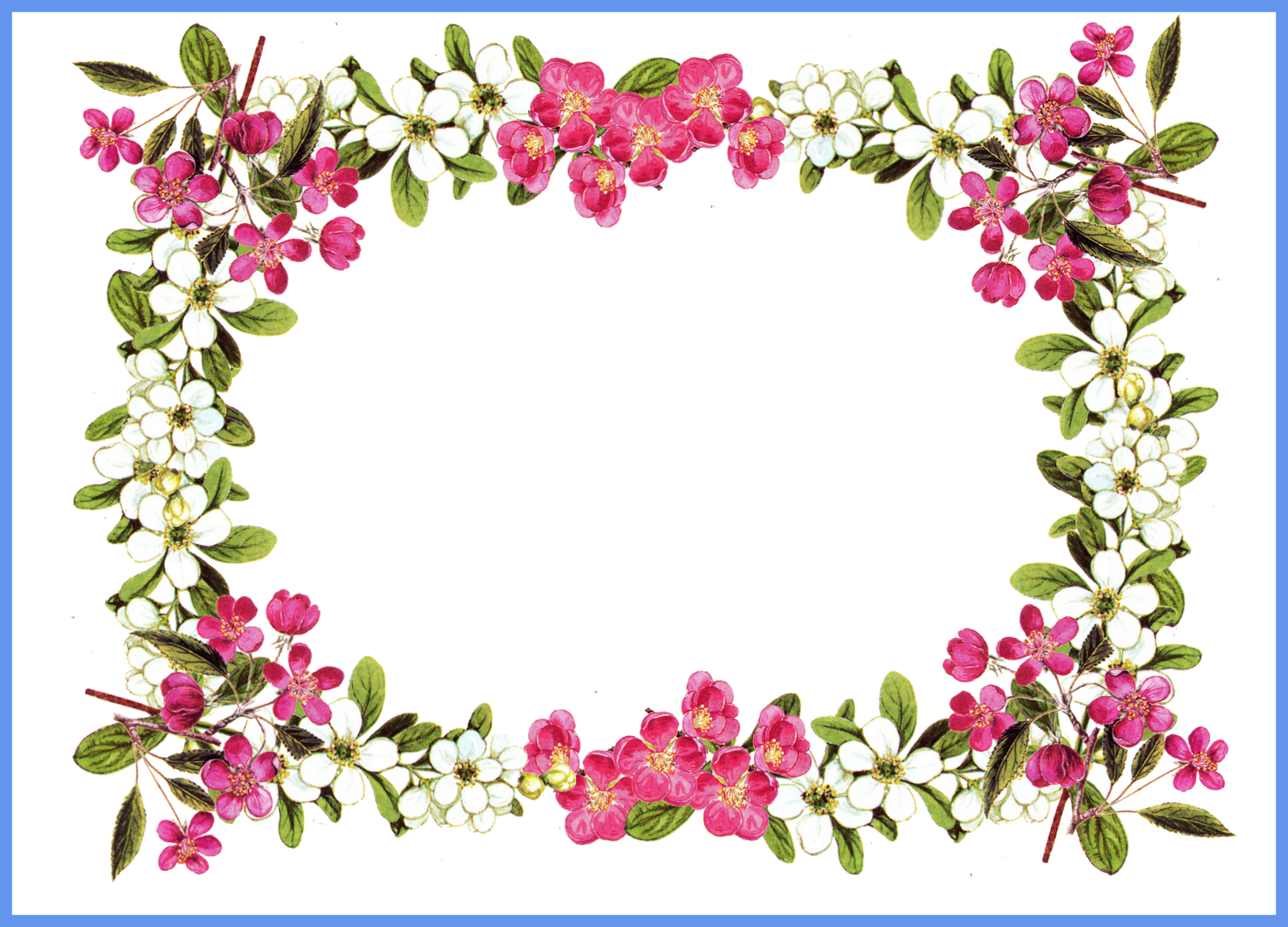 Marvelous Printable Clip Art Borders Digital Flower - Simpatie Boodskappe In Afrikaans - Png Download (1630x1173), Png Download