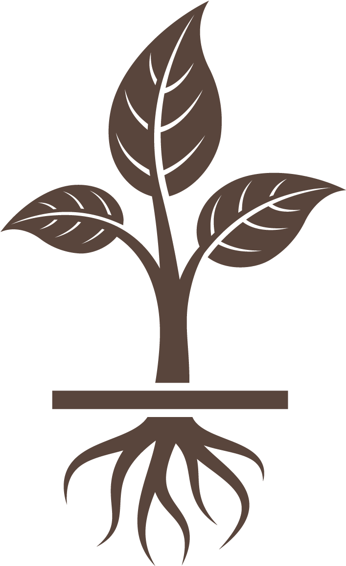 Get To The Root - Vector Graphics Clipart (1250x1250), Png Download