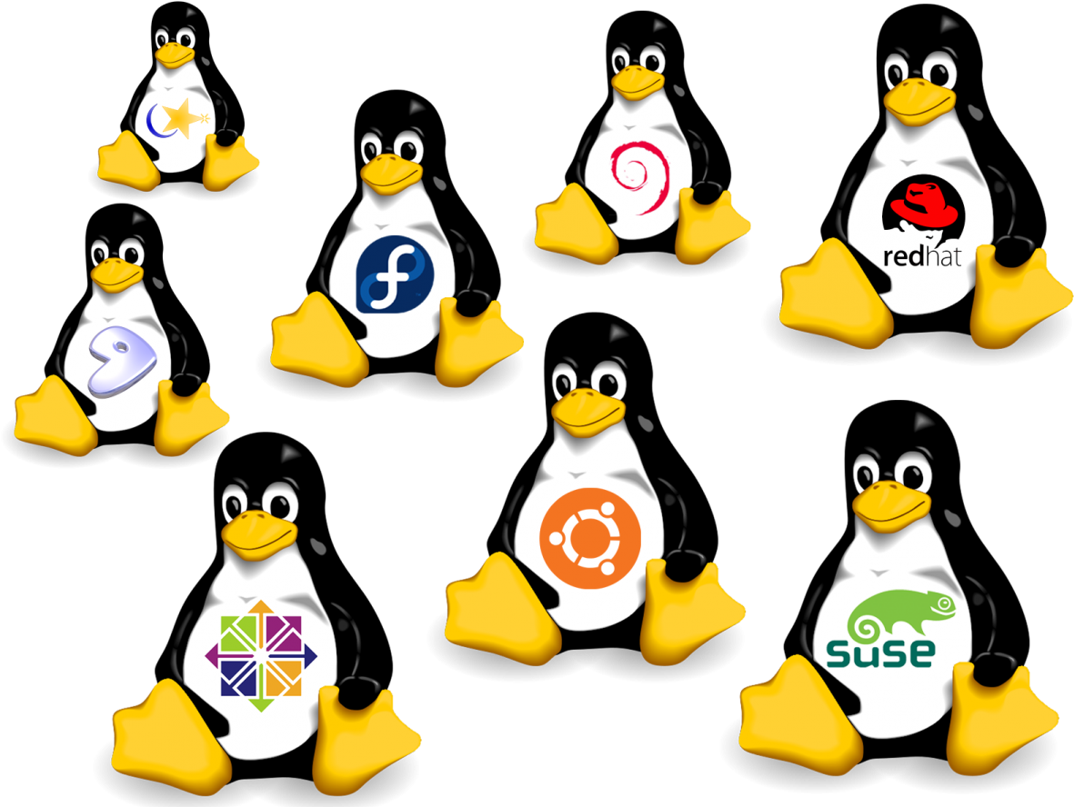 Type Of Linux Clipart - Full Size Clipart (#2015025) - PinClipart