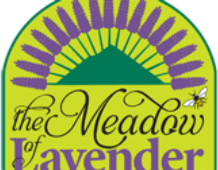 The Meadow Of Lavender Clipart (1024x585), Png Download