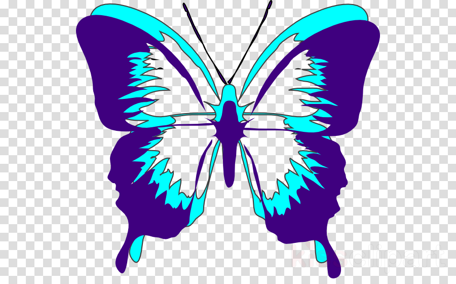 butterfly-stencils-clipart-butterfly-stencil-png-download-full-size