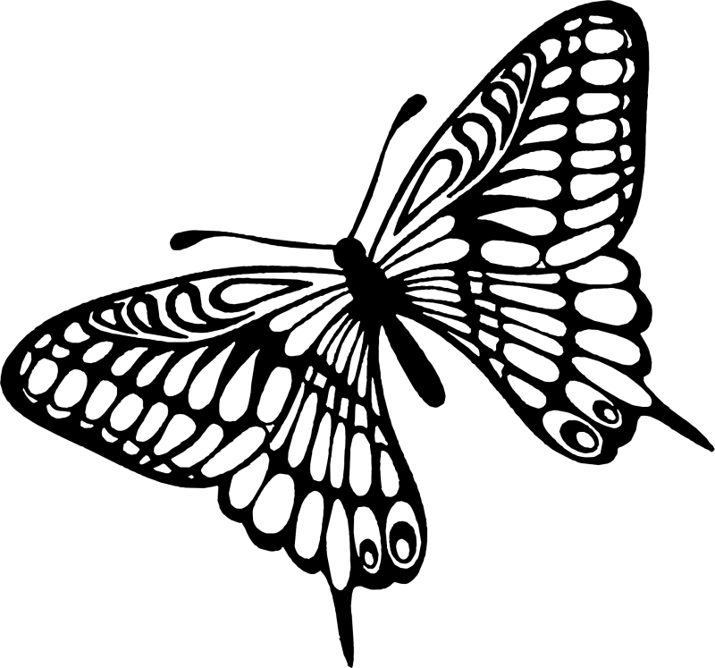 Butterfly - Scrapberry's The Best Things Butterflies Clear Stamps Clipart (800x747), Png Download