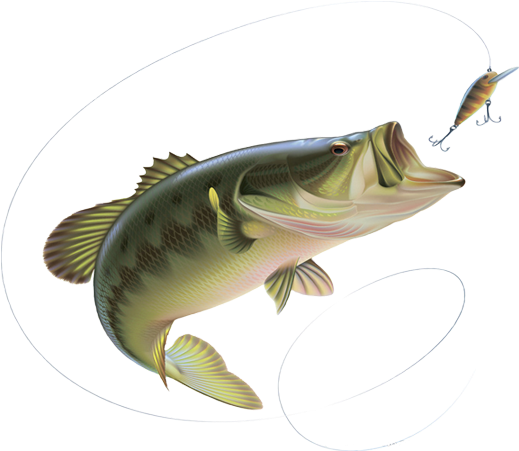 Fishing Line And Hook Png Clipart Freeuse - Fishing Pliers Hemostat Locking Stainless Steel Locking Transparent Png (1140x500), Png Download