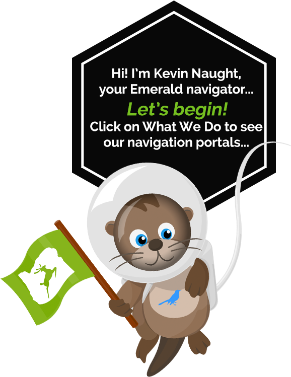 Hi I'm Kevin Naught, Your Emerald Navigator Let's Begin - Cartoon Clipart (594x774), Png Download