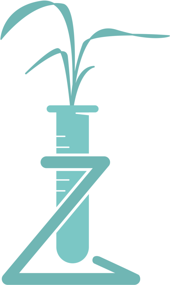 Bio Transformation Clipart (750x1024), Png Download