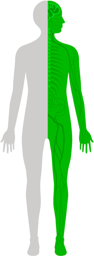 A Healthier Planet - Illustration Clipart (650x861), Png Download