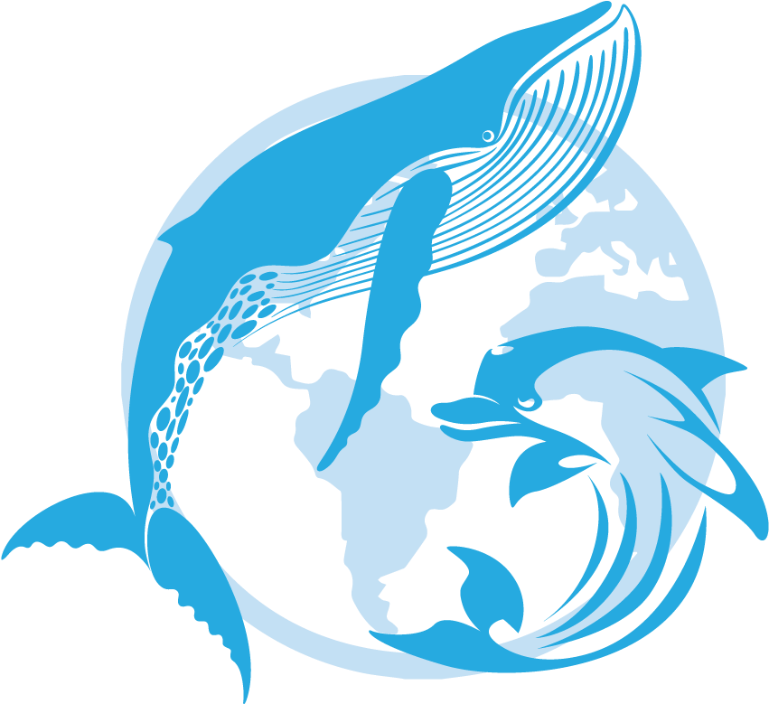 Dolphins Clipart Dolphin Splash - Decal Stickers Dolphin Figure Motorbike Boat (30 X - Png Download (1000x1000), Png Download