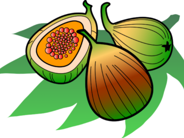 تصاویر کارتونی از انجیر Clipart (640x480), Png Download