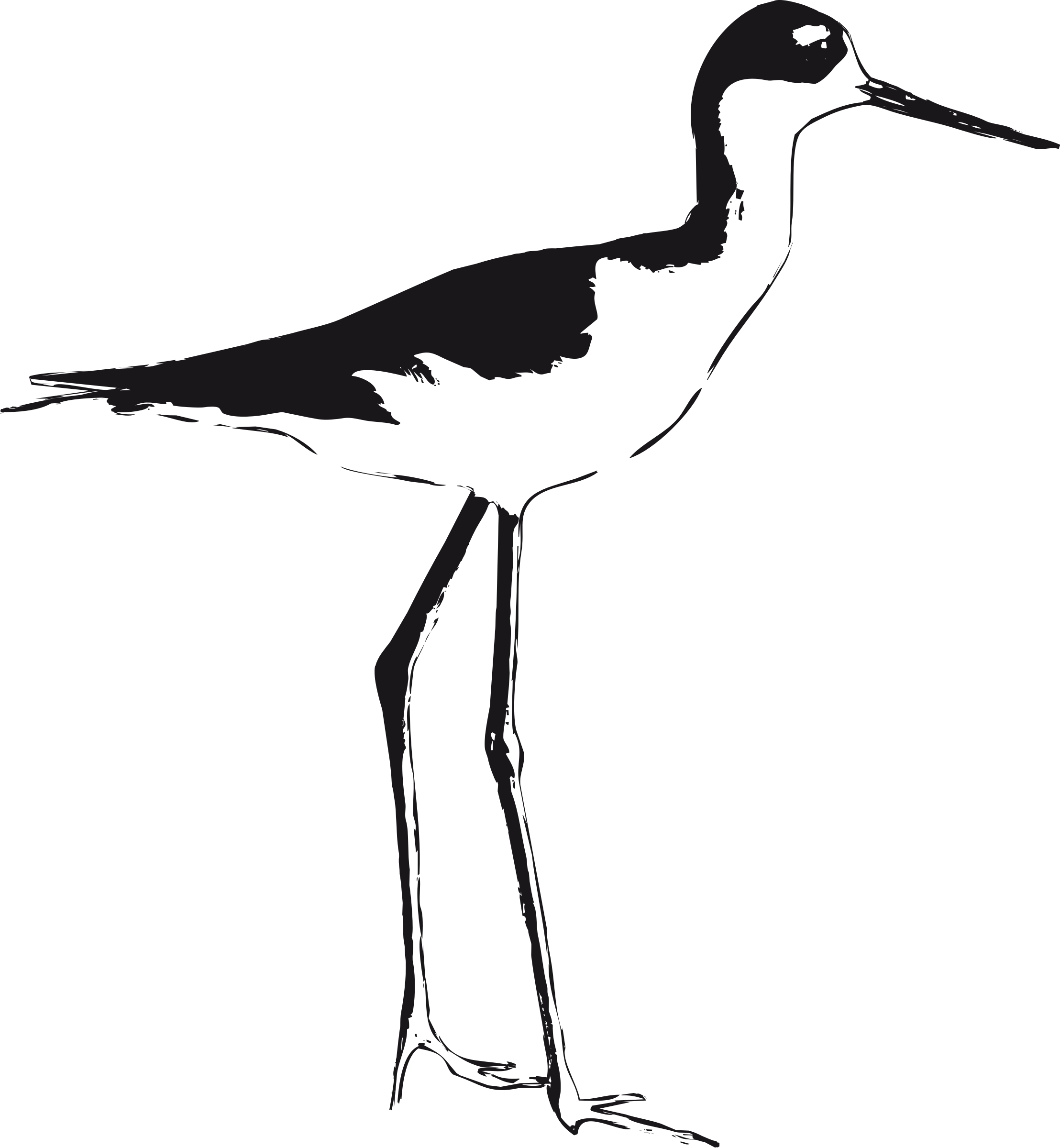 Big Image - Black Necked Stilt Outline Clipart (2216x2400), Png Download