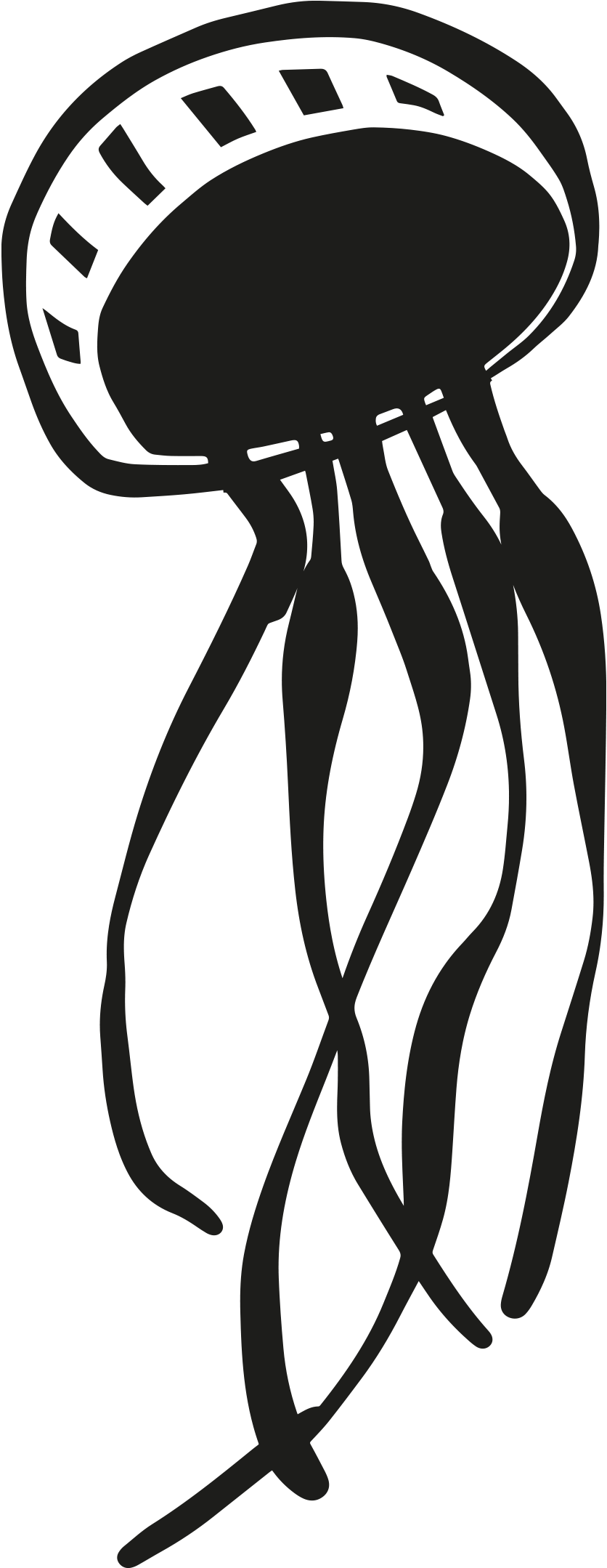 My Hearth Is An Octopus Or My Father On The Shore Of Clipart (935x2187), Png Download