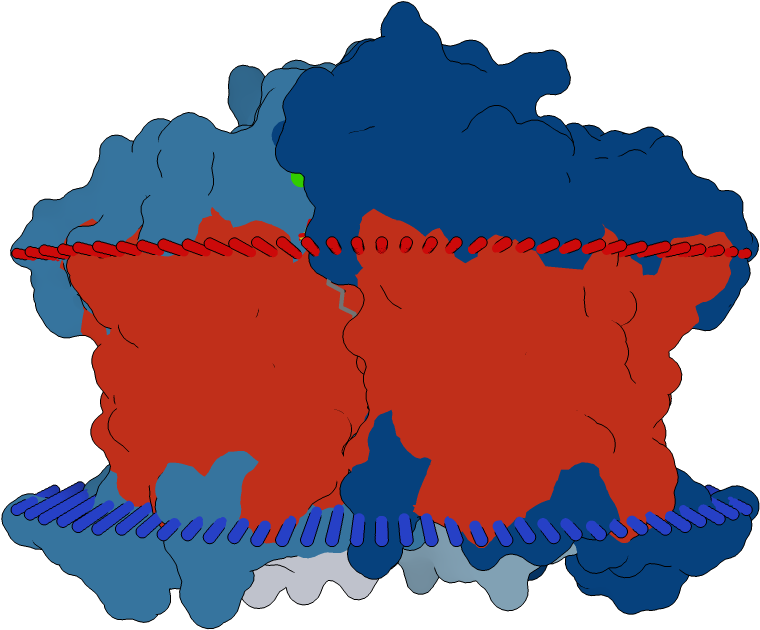 Transmembrane Flat Surface Display Opm Clipart (1000x1000), Png Download