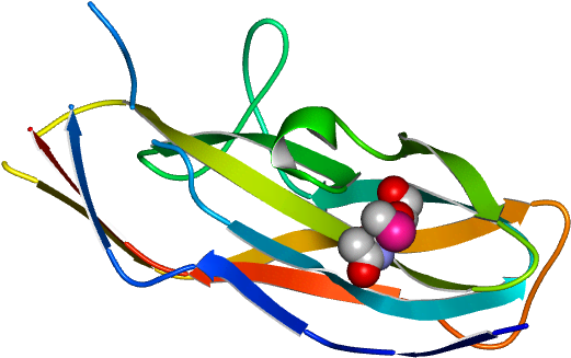 No Rotation Molmil Generated Image Of 1o9v Clipart (768x768), Png Download